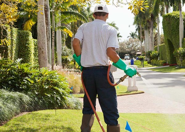 About Mercersburg PA Pest Control